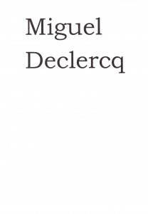 Declercq Miguel 4